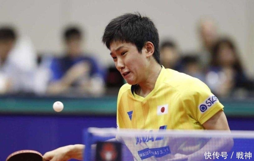 需要的不仅 需要的不仅